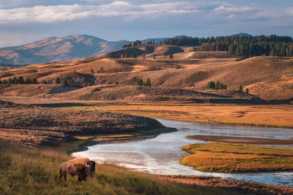 Best National Parks to Visit in the US: A Guide to 25+ Parks for Every Traveller