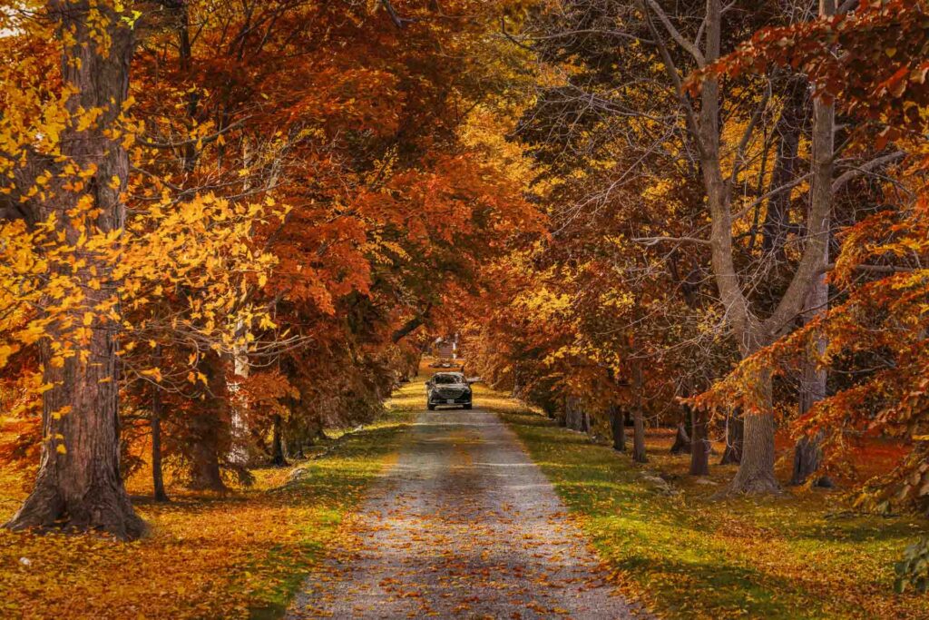 Best Day Trips From Toronto